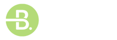 Braun Auctions