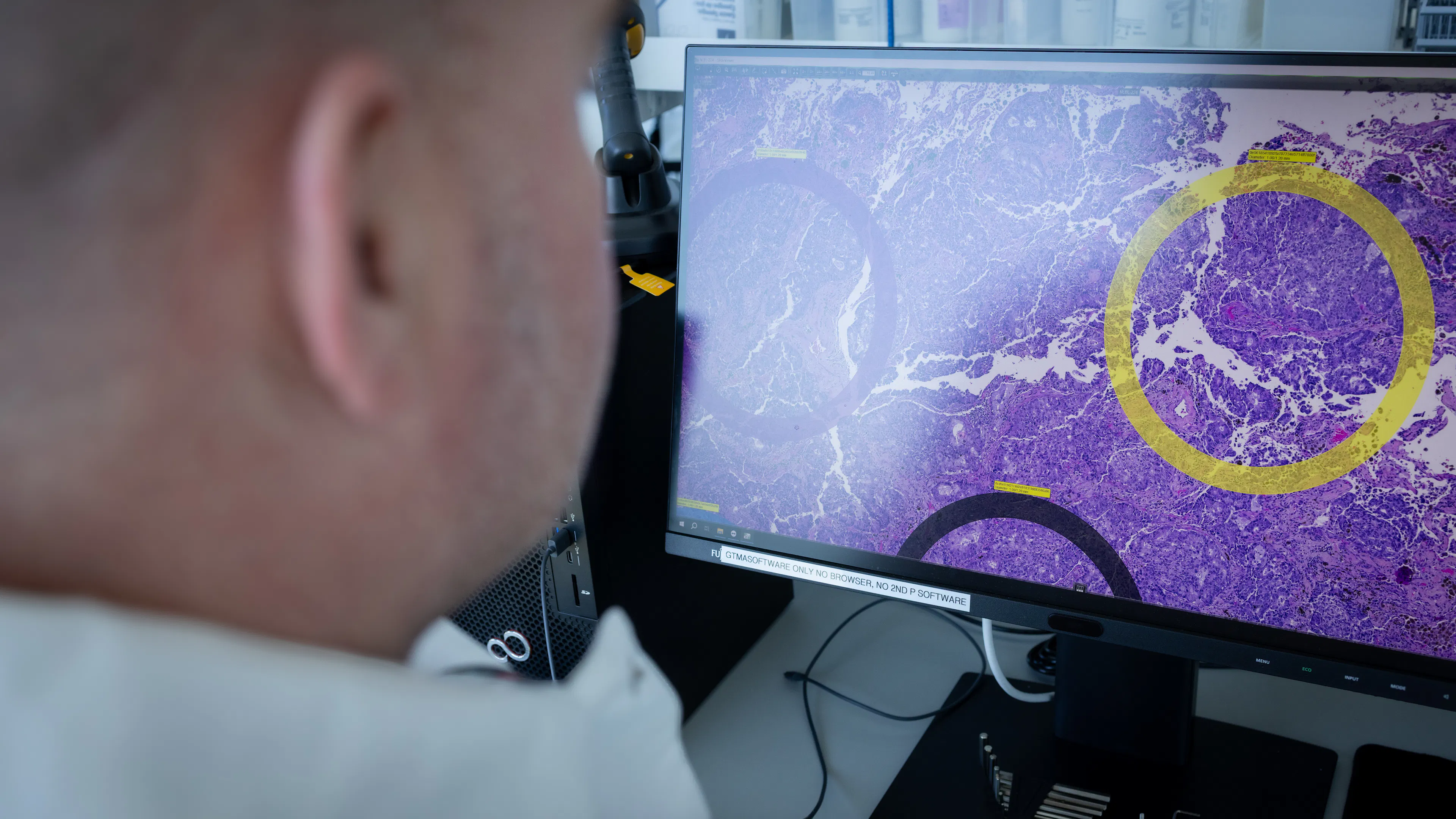 Scientist using AI/ML in lab space