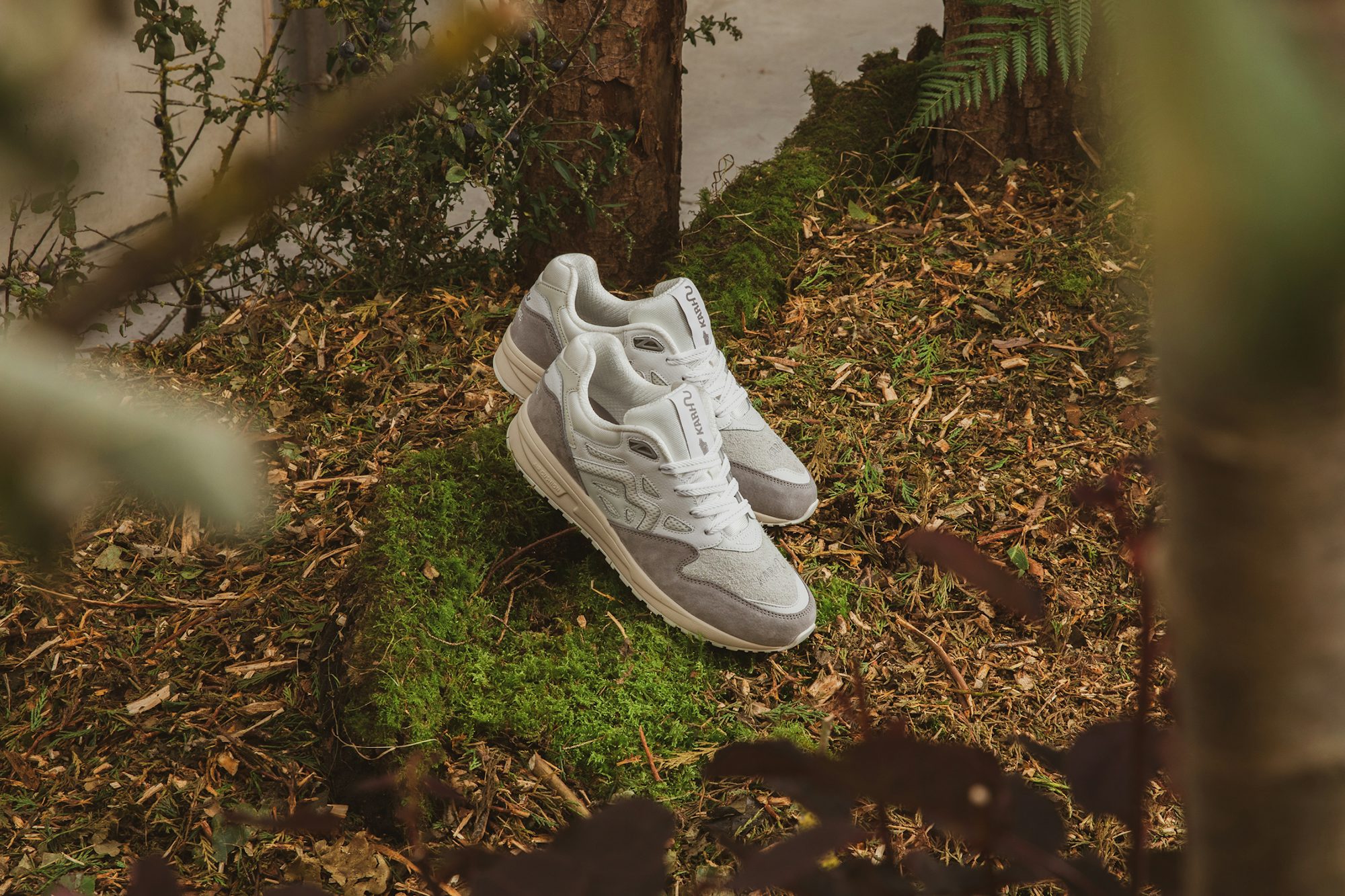 Legacy 96'