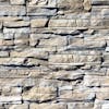 Wild Stone - Ornel - 613 Como