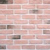 Wild Stone Brick Slip: 301 Lazio