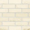 Olde Ivory Facing Brick