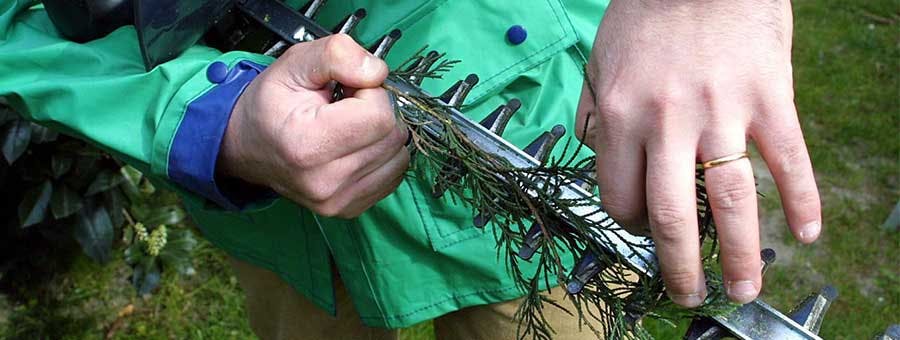 ecartement dents taille-haie