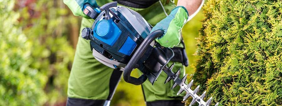 poids ergonomie taille-haie