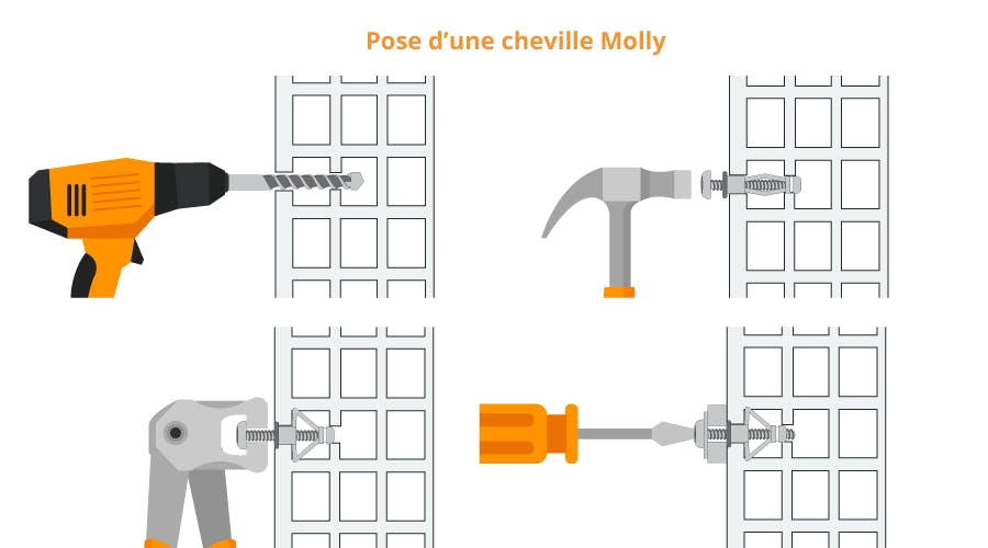 Cheville Molly ou cheville normale ?? - Visser Malin