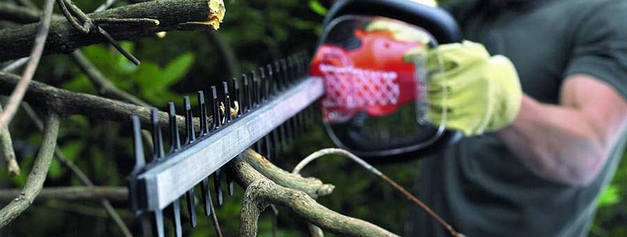 taille coupe taille-haie