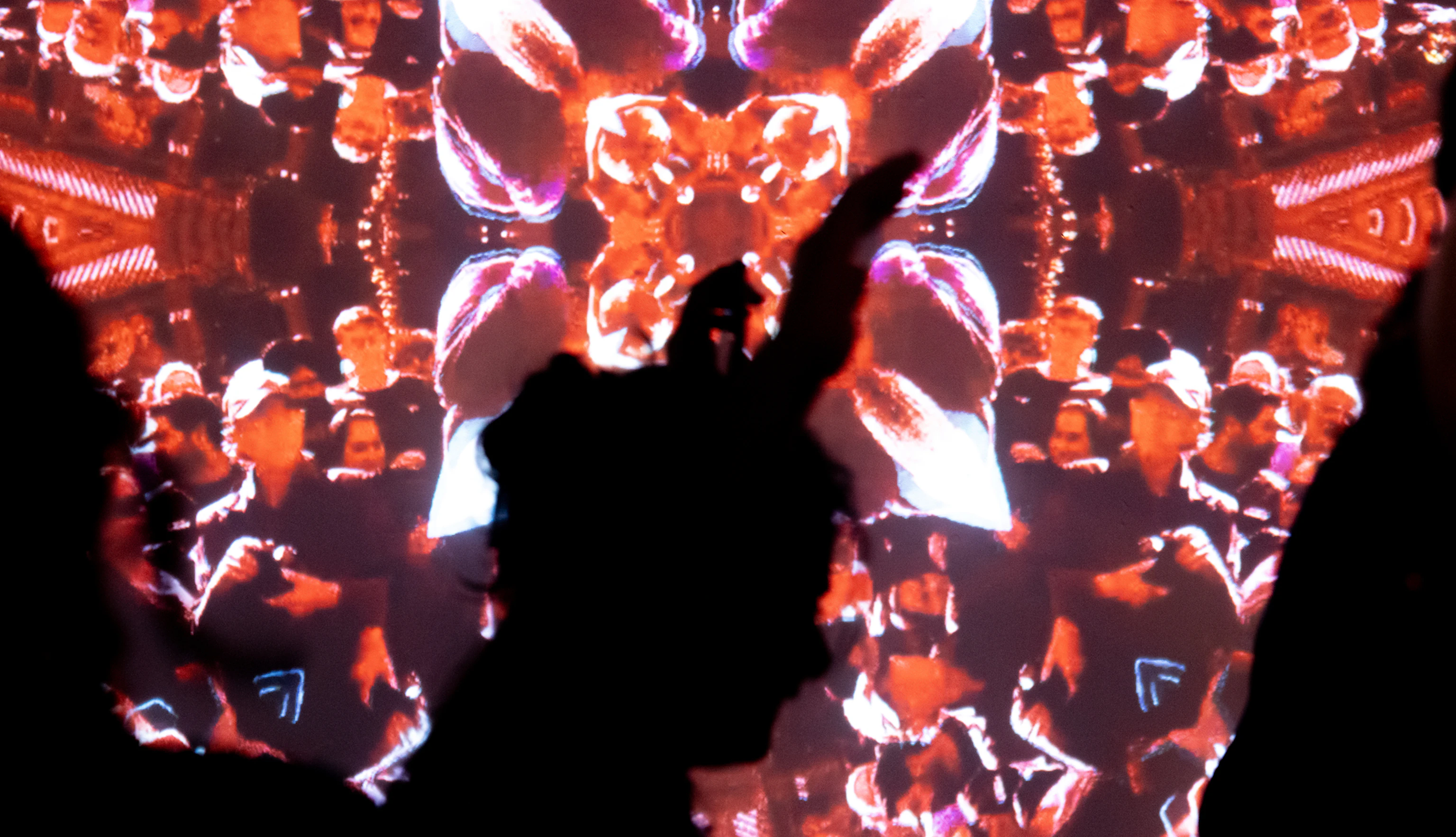 Hu-Sane's visual projections.