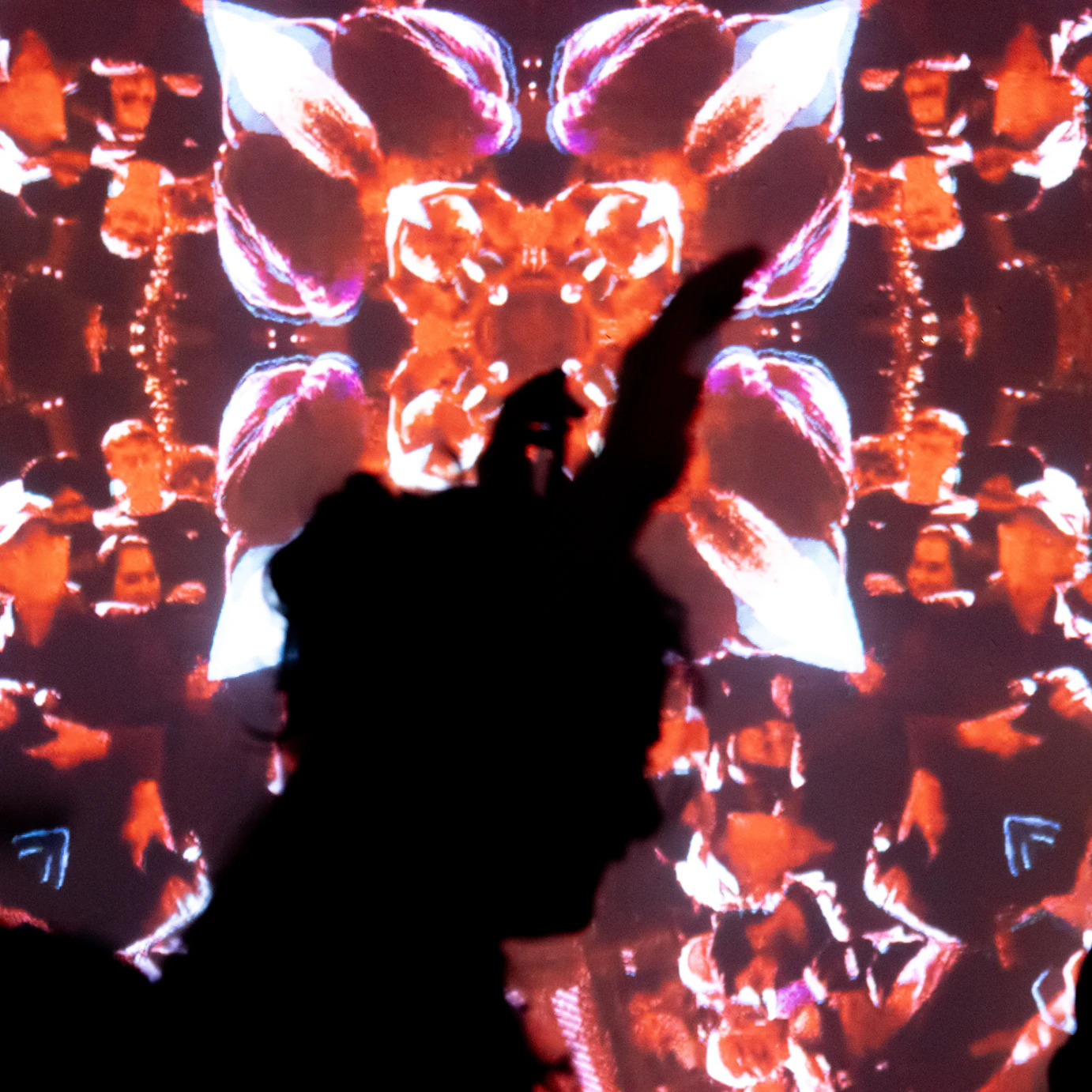 Hu-Sane's visual projections.
