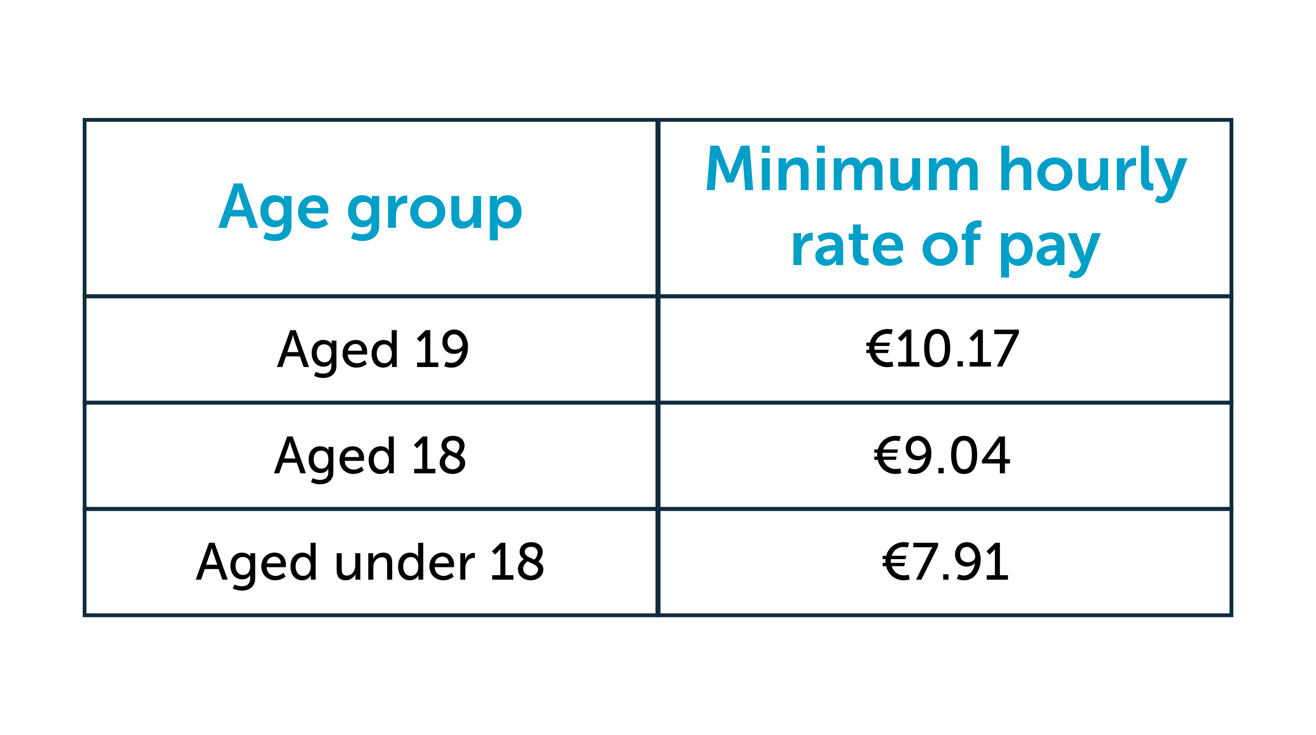 Minimum Wage 2025 Ireland Penni Blakeley