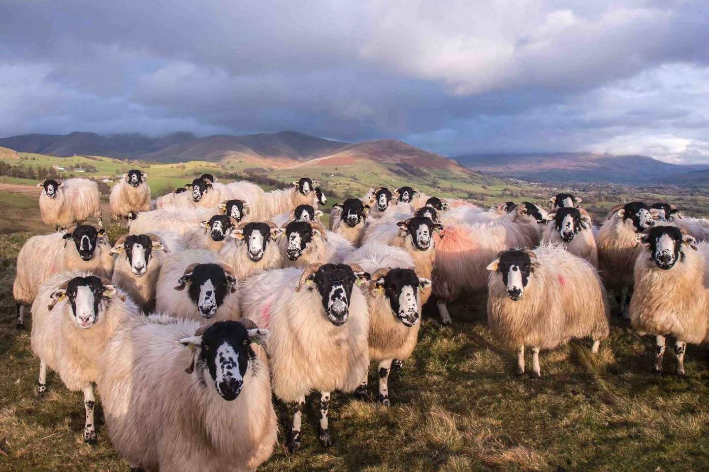 Sedbergh School
