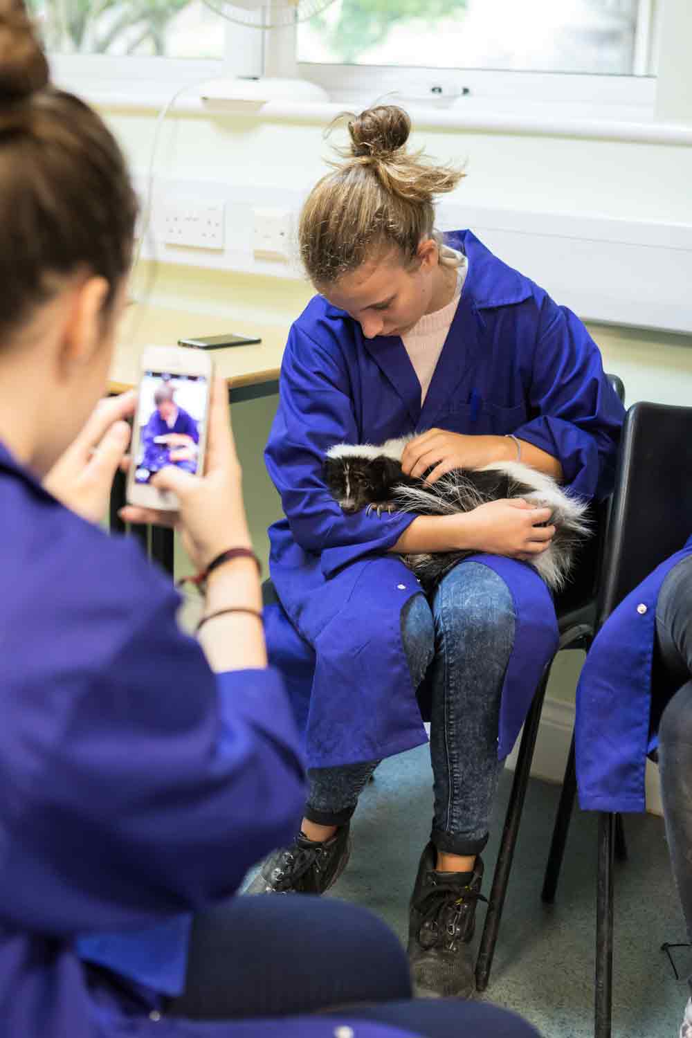 студенты, ухаживающие за животными