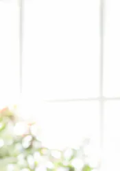 Robbie on phone Bright World