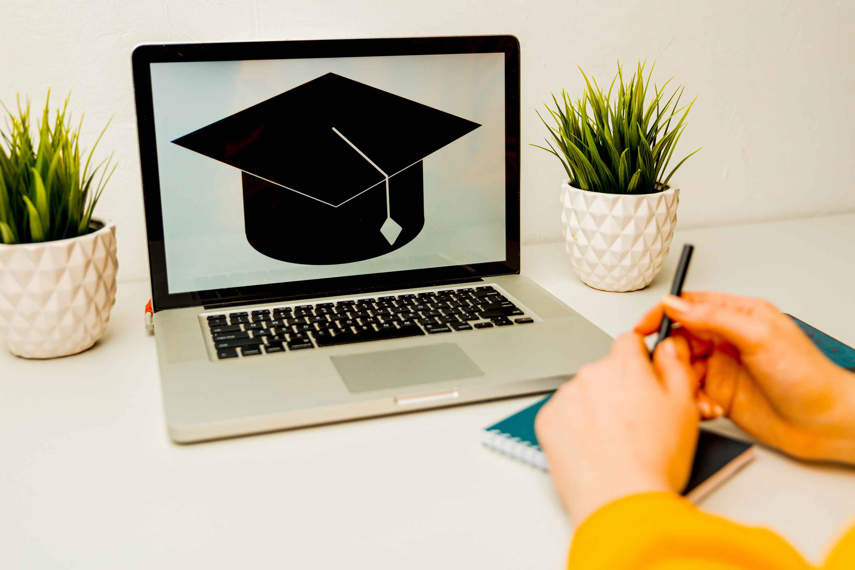 online university application