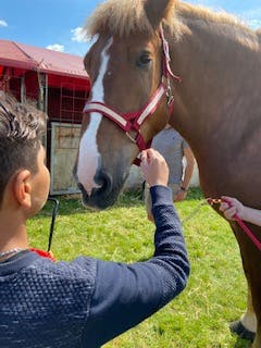 ibrahim at a county show 