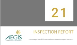 inspection report 