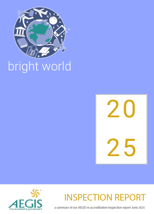 AEGIS Inspection Report 2025