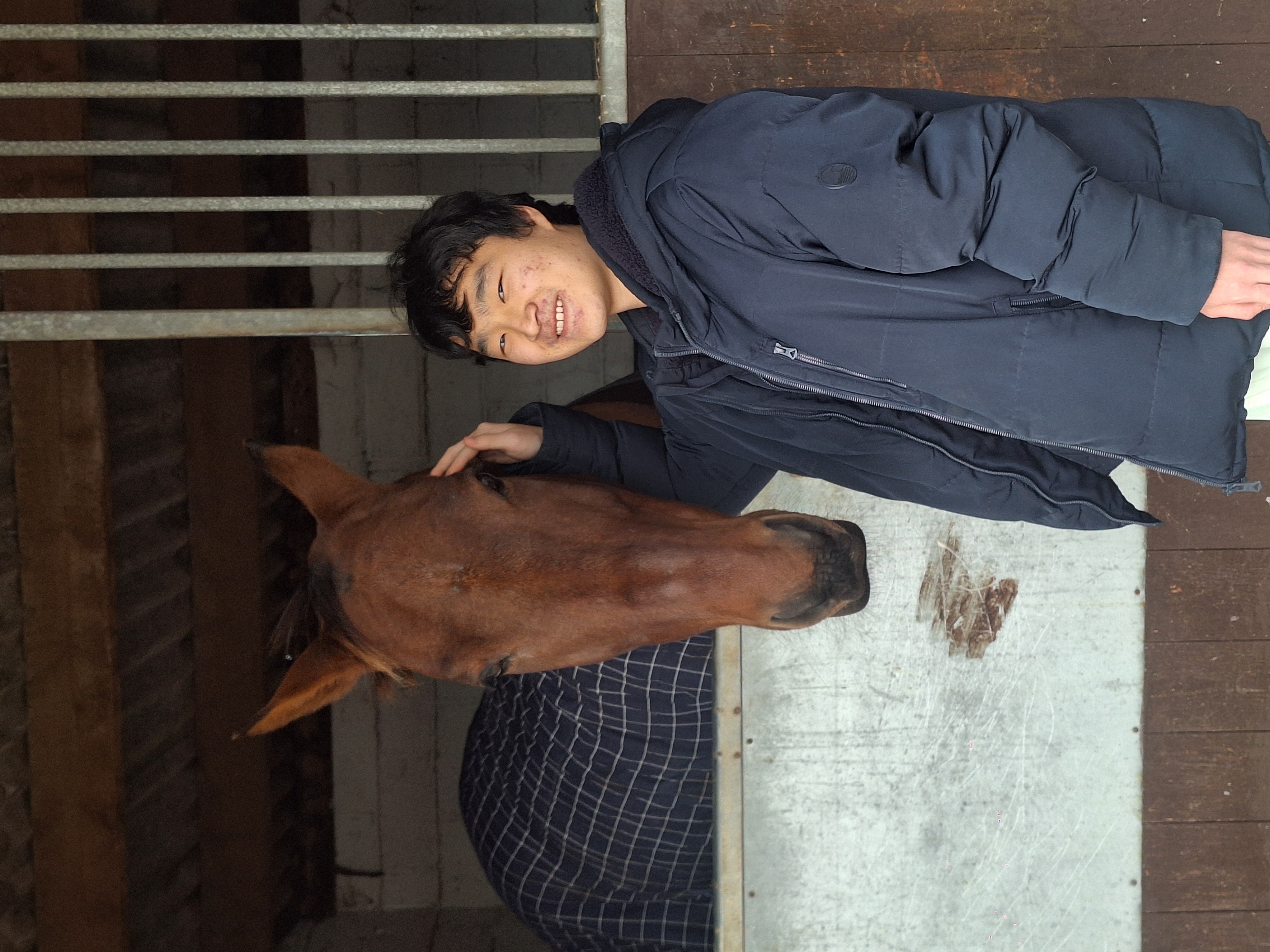 a young boy petting a horse in a stable