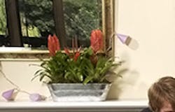 boarding house with students on sofa