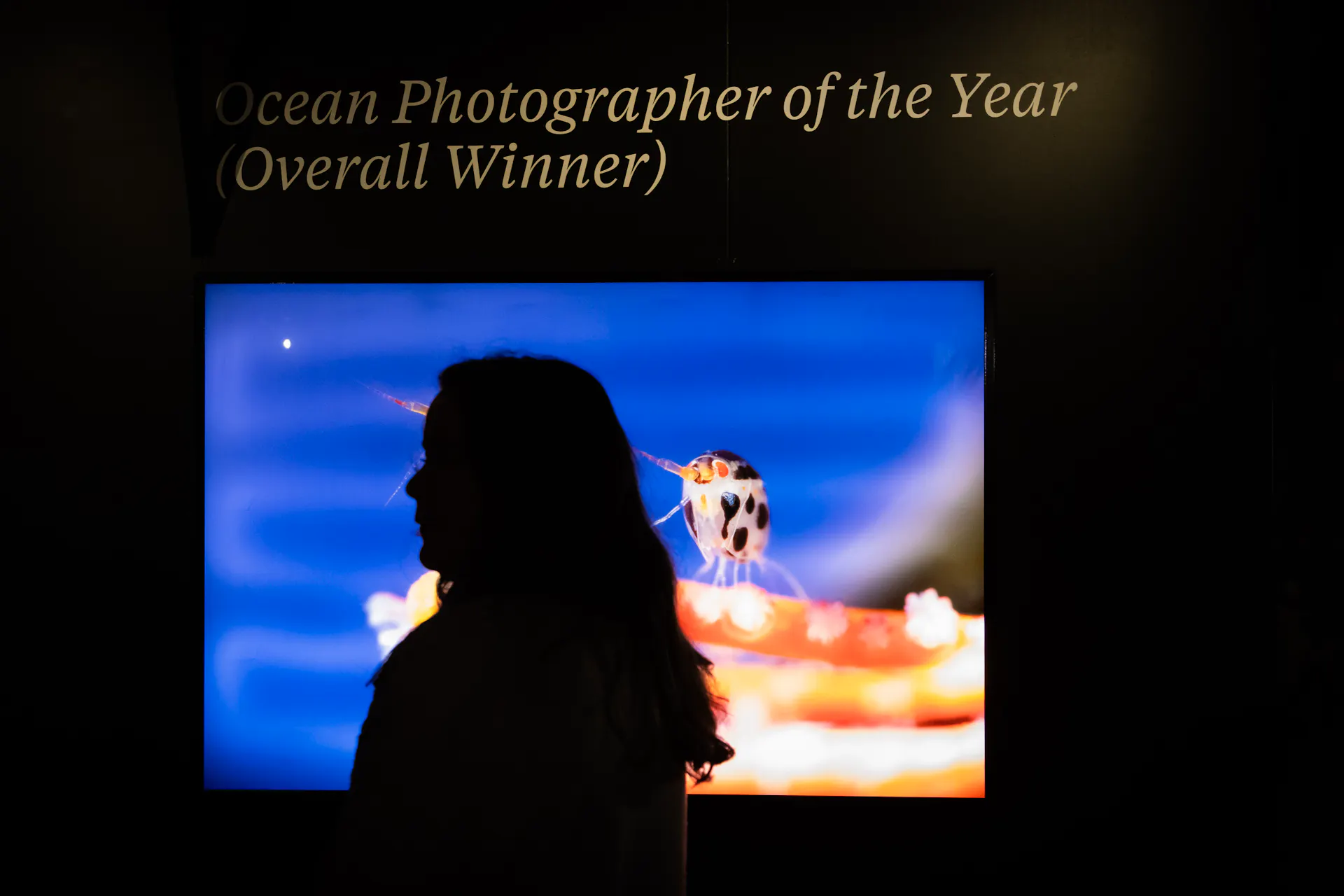 Ocean Photographer of the Year 