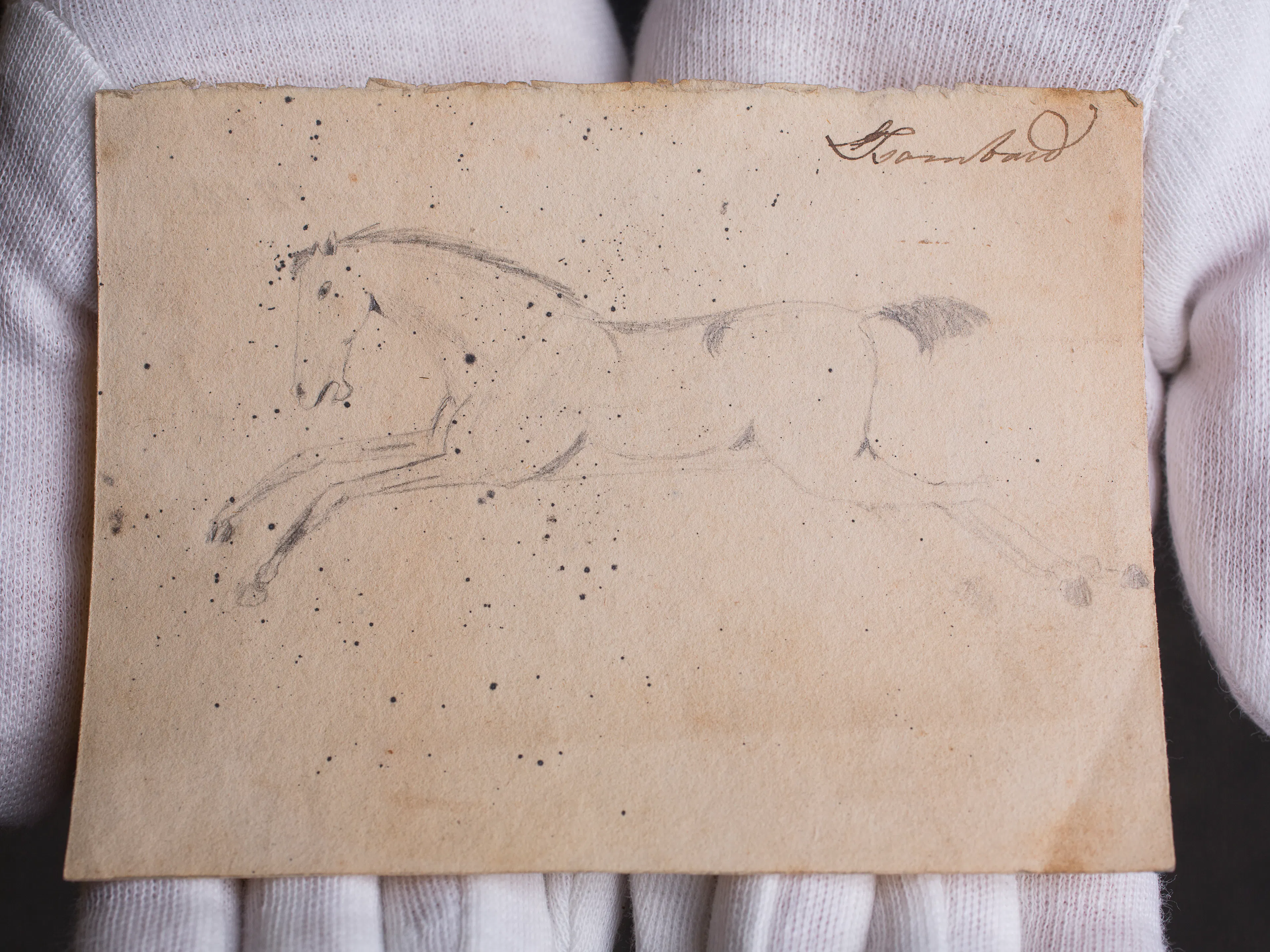 A Drawing of a Horse by Isambard Kingdom Brunel, 1812