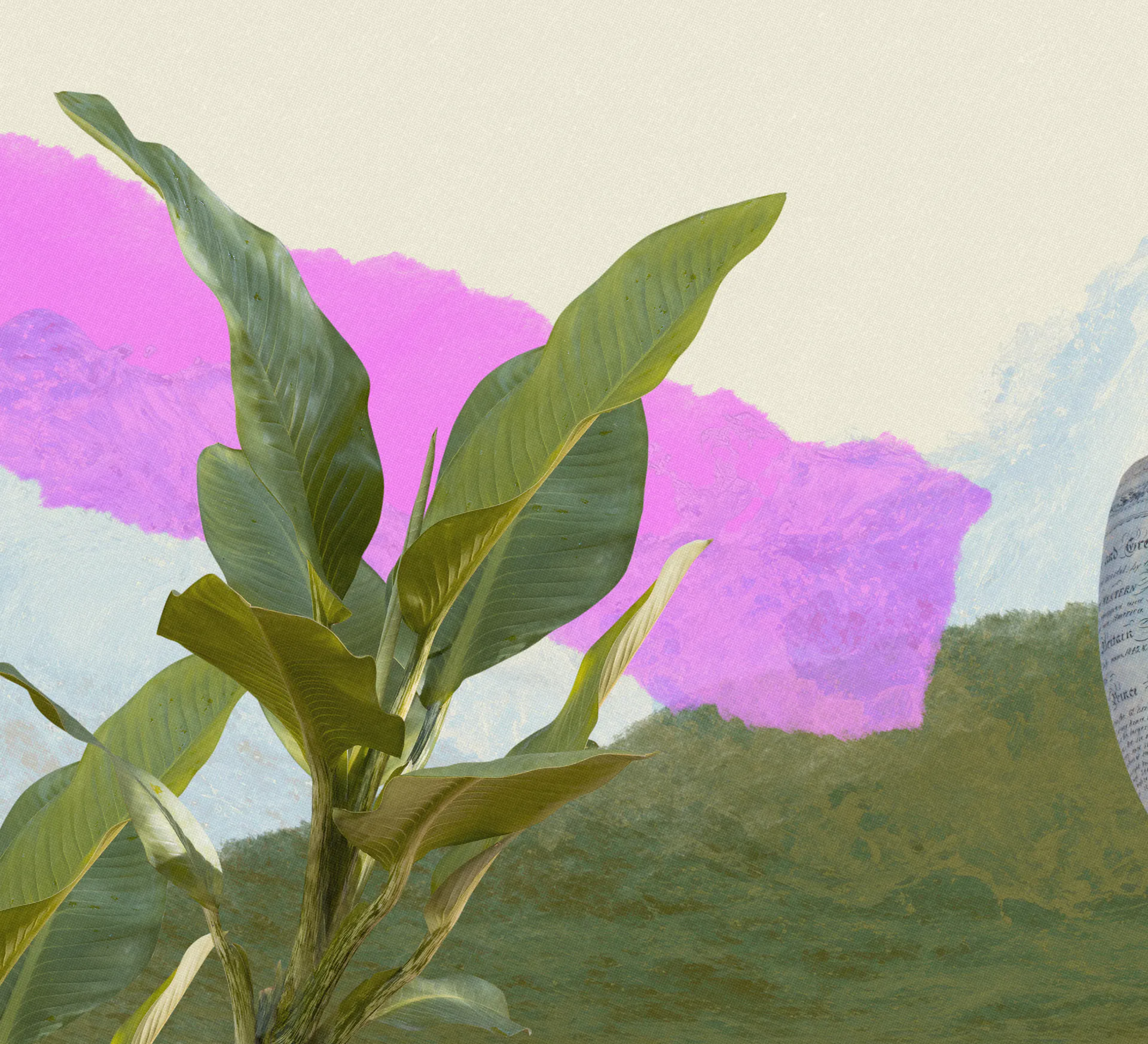 Sustainability collage of plants colours and historical shell