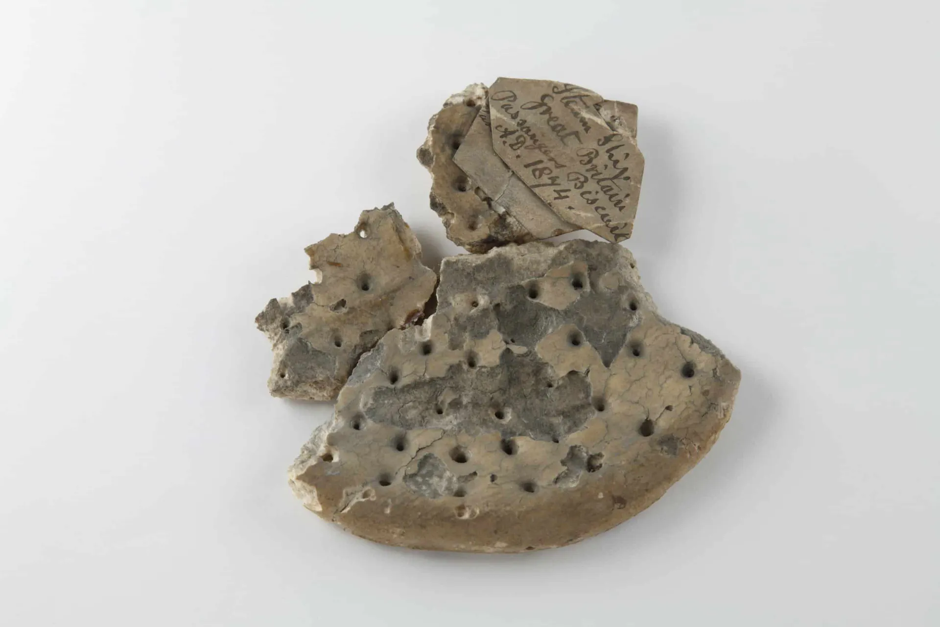 Collection-Stories_Ships-biscuit-belonging-to-Mr-Rowland-scaled