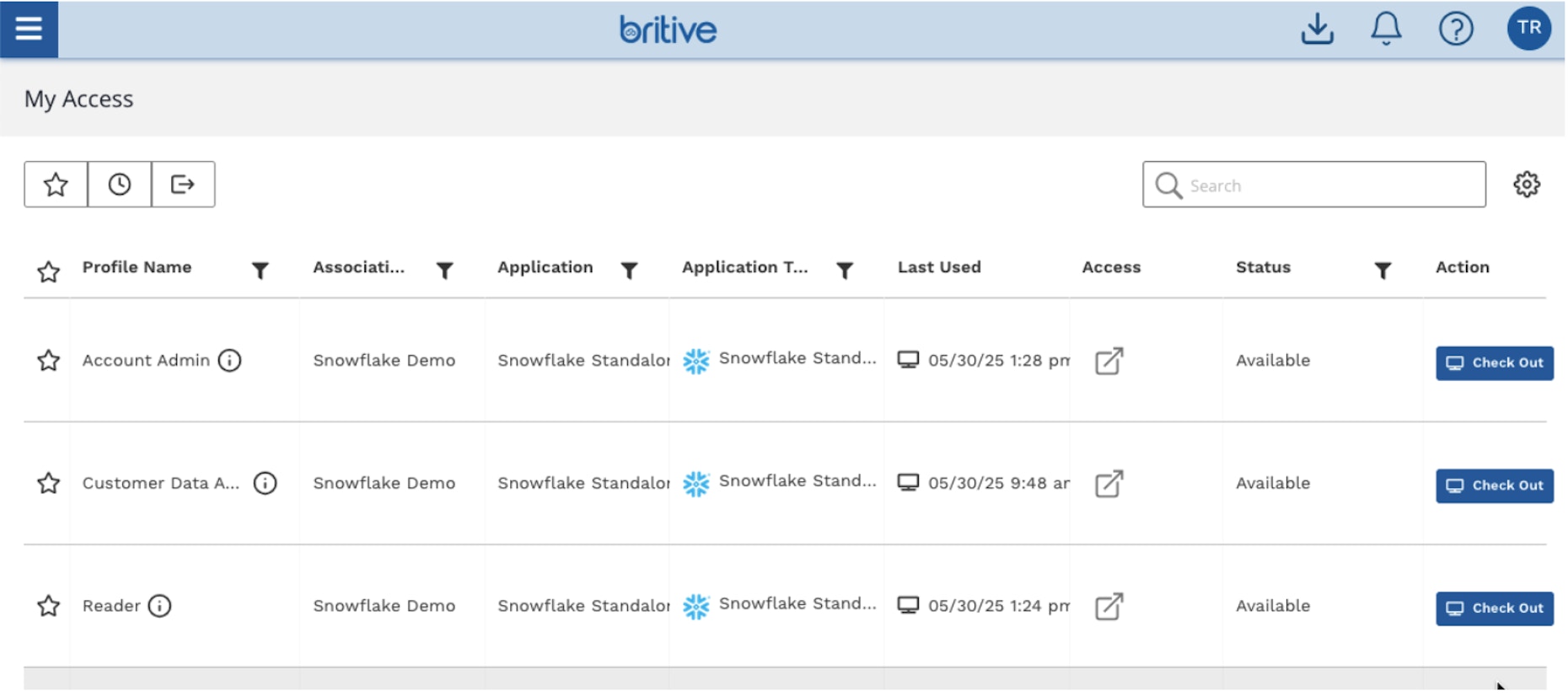 Figure 3: Britive's granular access profiles work seamlessly with MCP