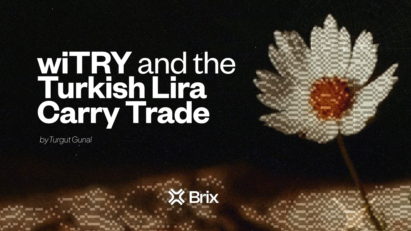 wiTRY and the Lira Carry: Why It Has Worked, and Why It Keeps Working