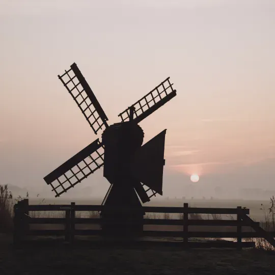 Molentje opkomende zon