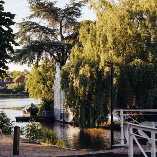 Twee huisjes bij Havenrak