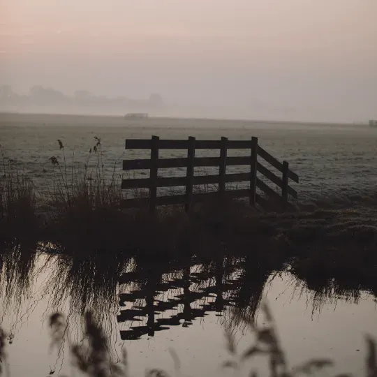 Hekje met opkomende zon aan het water