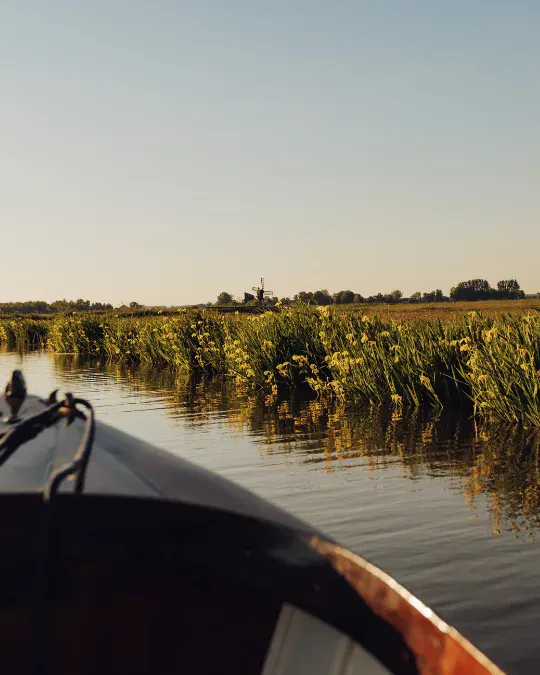 Boottocht in Waterland gele irissen vanaf het water golden hour