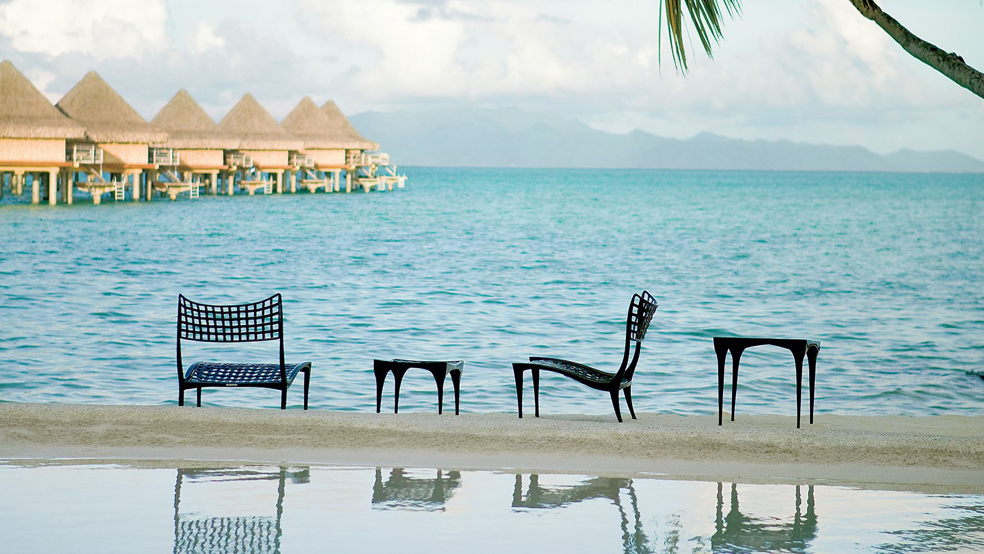 Sol Y Luna - Brown Jordan