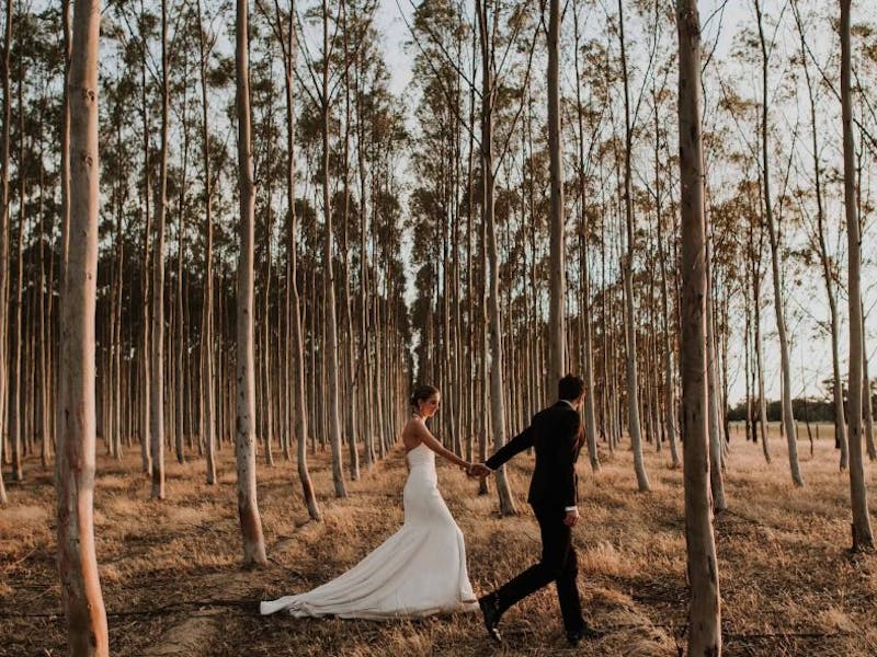 Bride and Groom walking through oak trees at Brown Brothers winery