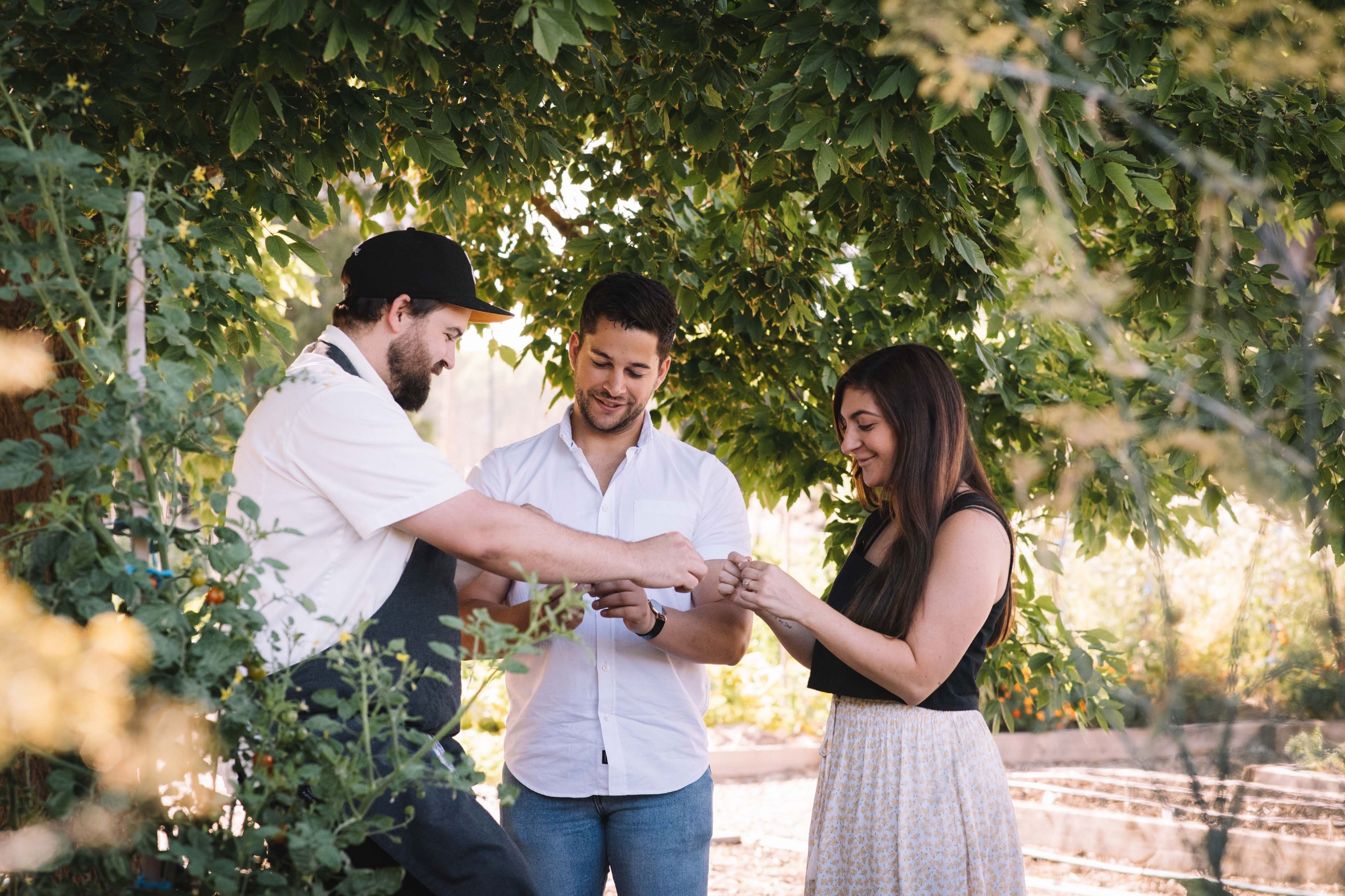 Brown Brothers Wine & Food Adventure