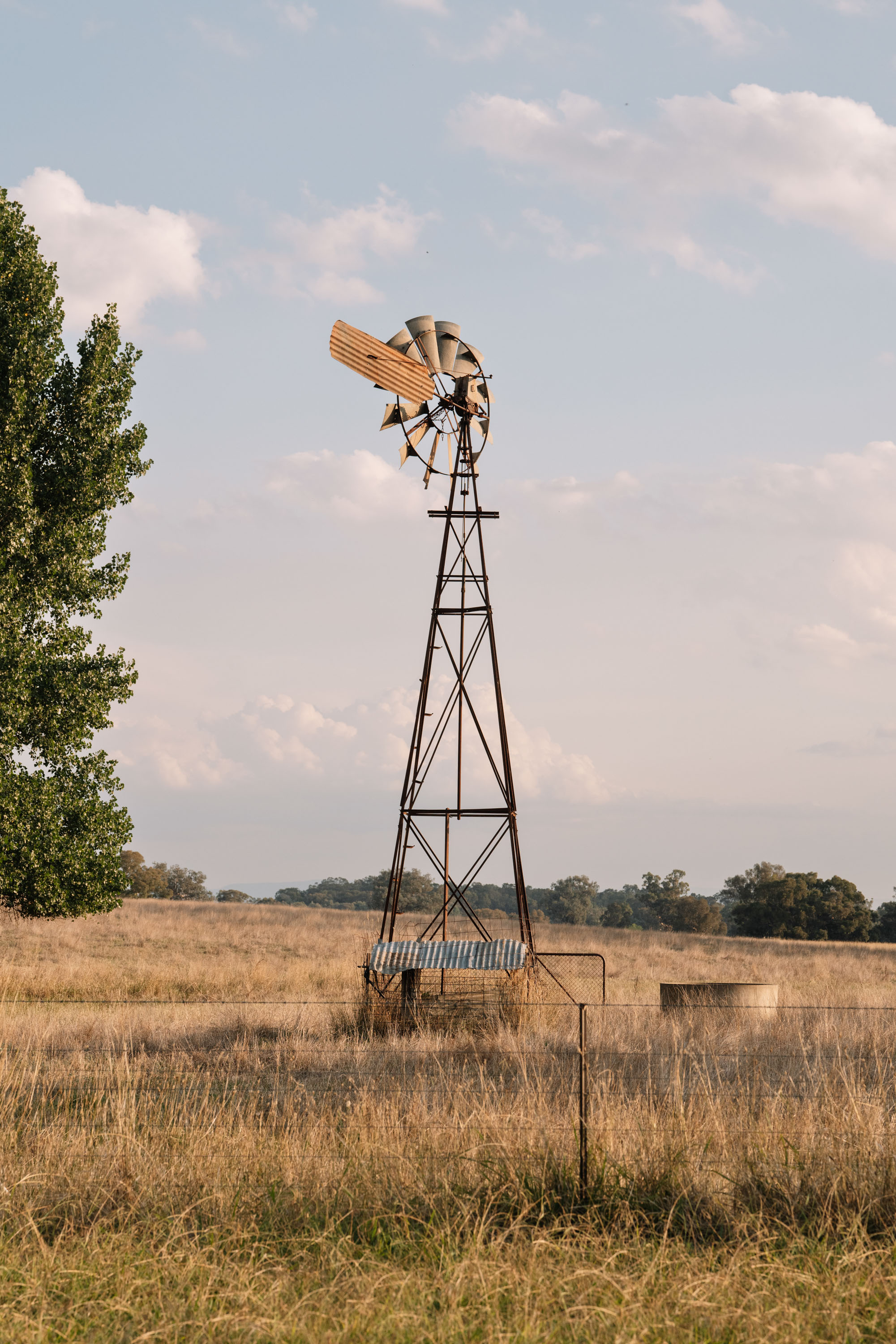 windmill in milawa