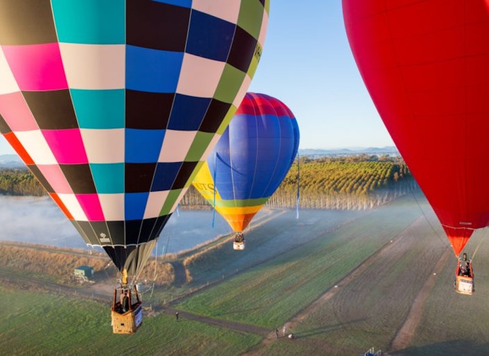 Hot air balloons floating over Brown Brothers Winery