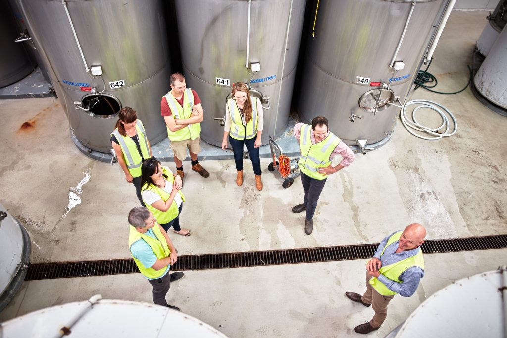 Group having a tour in the Kindergarten Winery