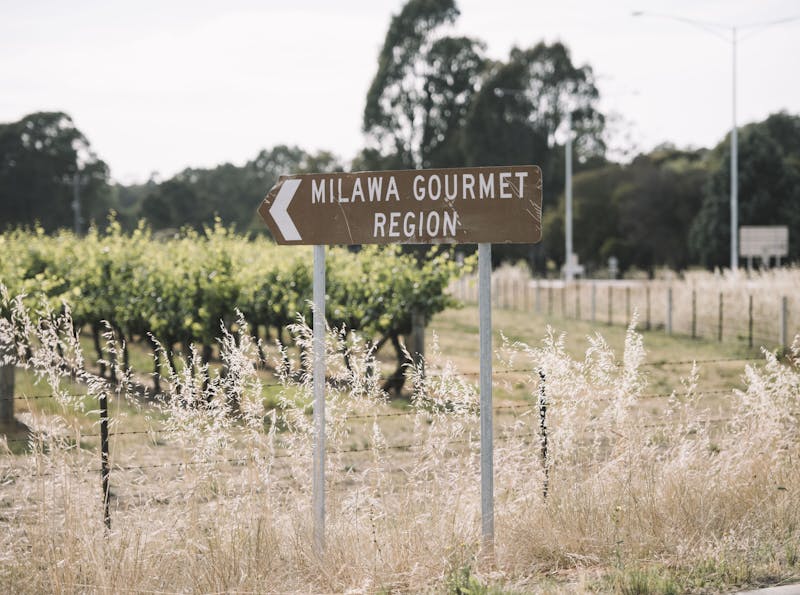 Milawa Gourmet Region road sign
