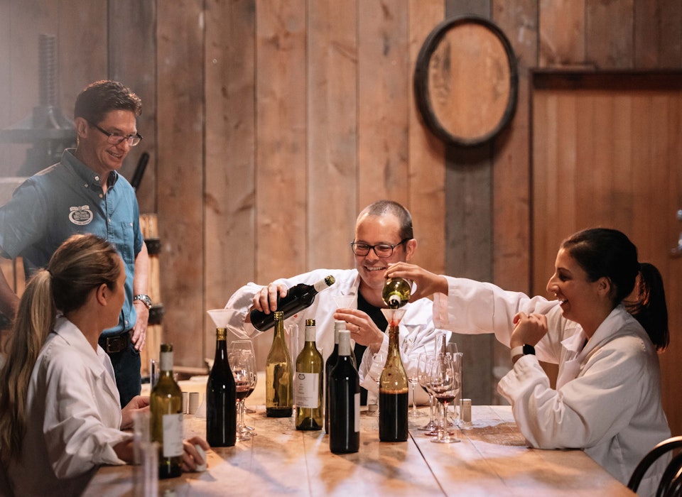 Group of friends blending wine with Winemaker