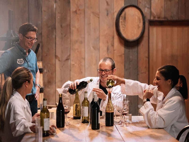 Group of friends blending wine with Winemaker
