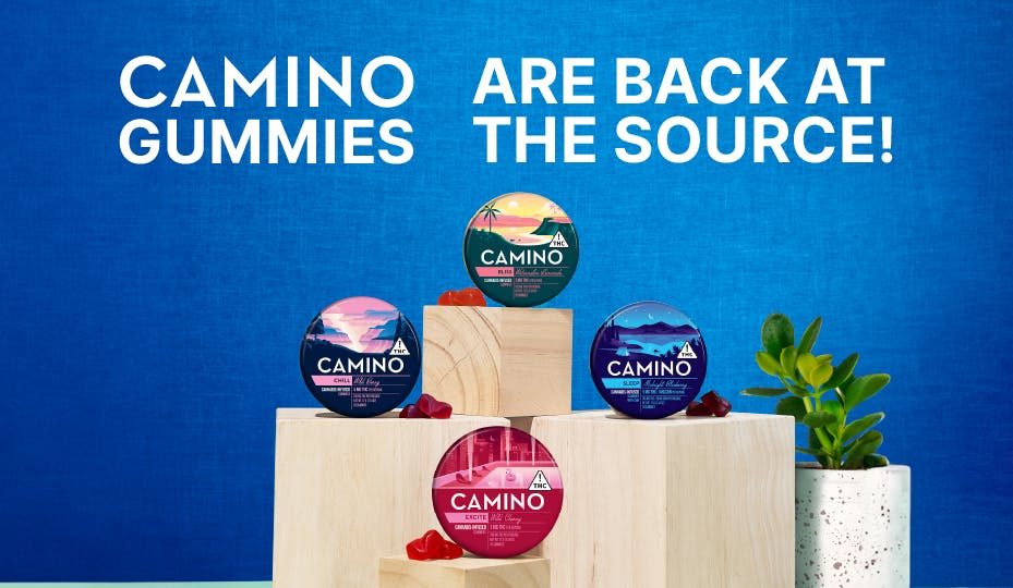 Preview image of the article