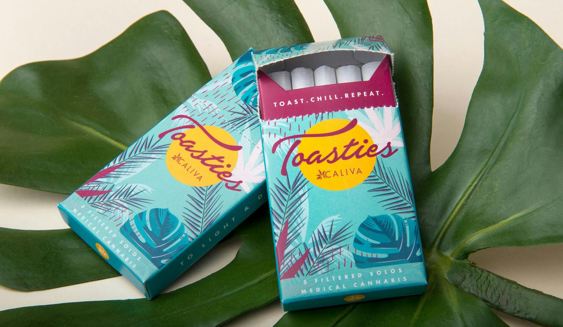 Preview image of the article