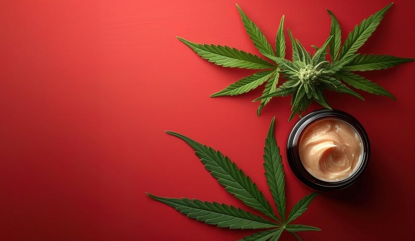 Preview image of the article