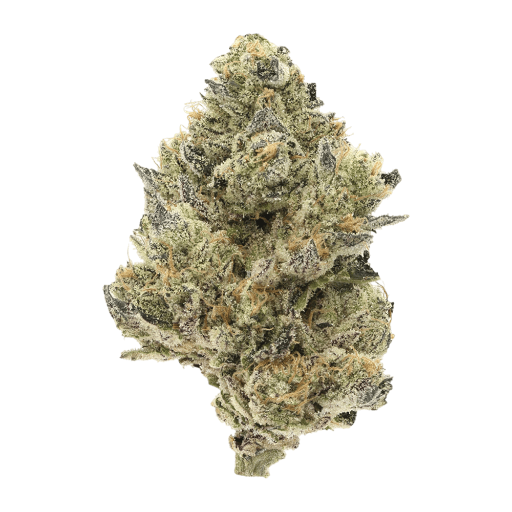 Blueberry Disco - 3.5 Grams