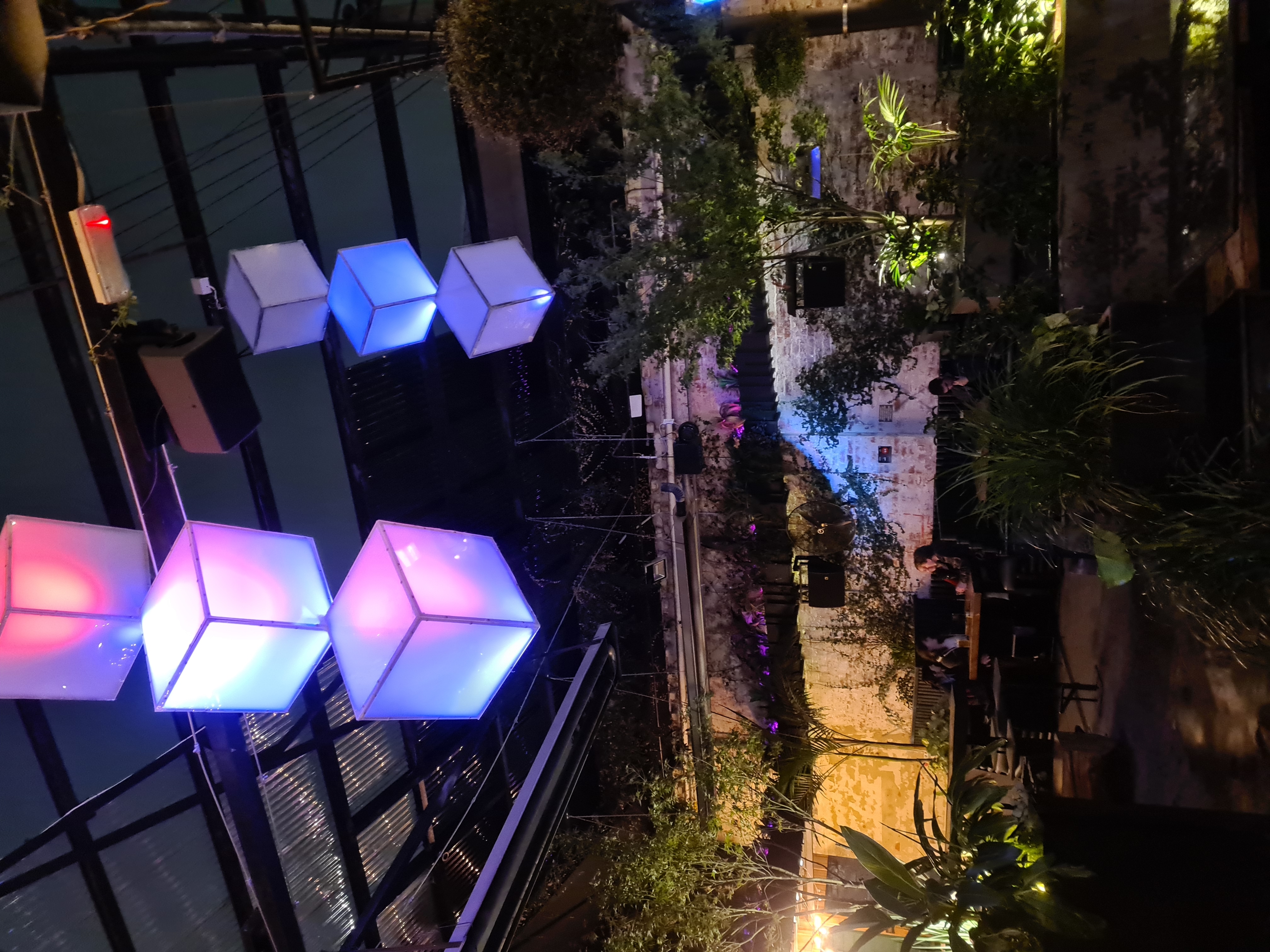 Hanging cube architectural lights coloured purple suspended over seating with many plants.