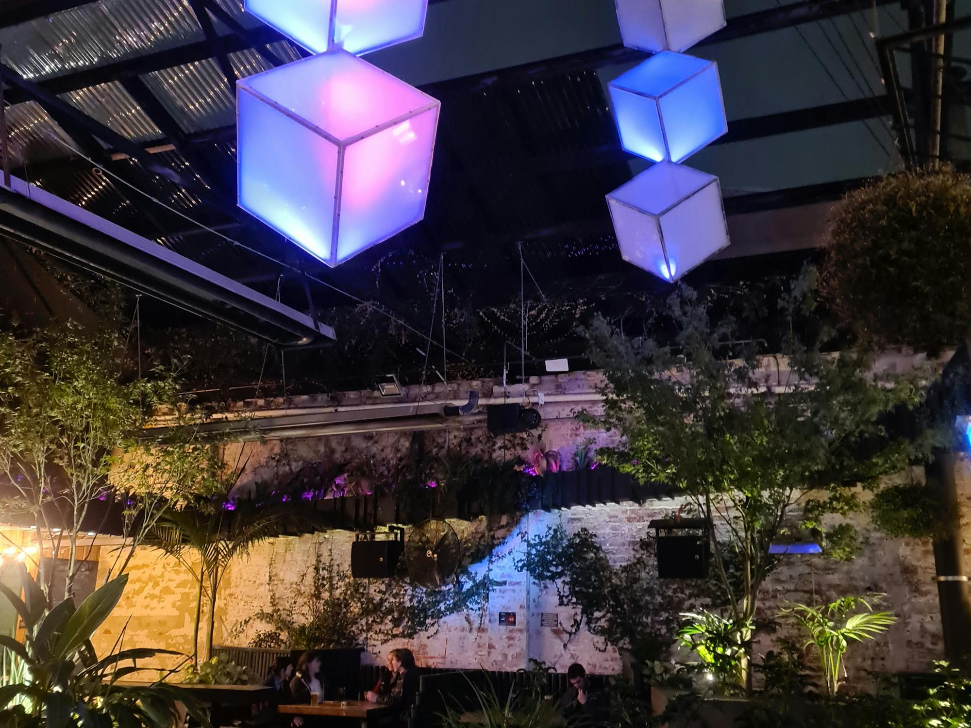 Hanging cube architectural lights coloured purple suspended over seating with many plants.
