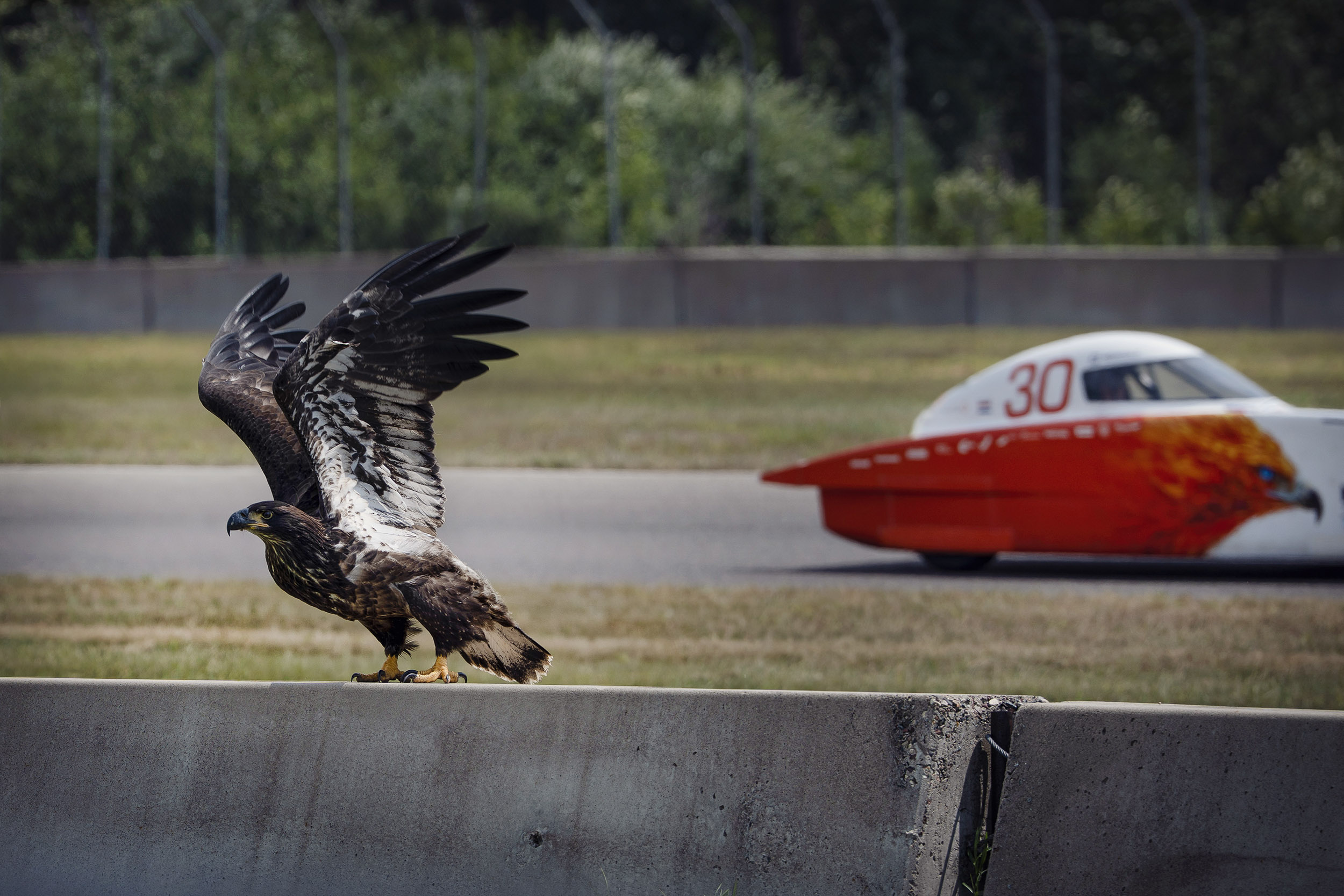 Formula Sun Grand Prix