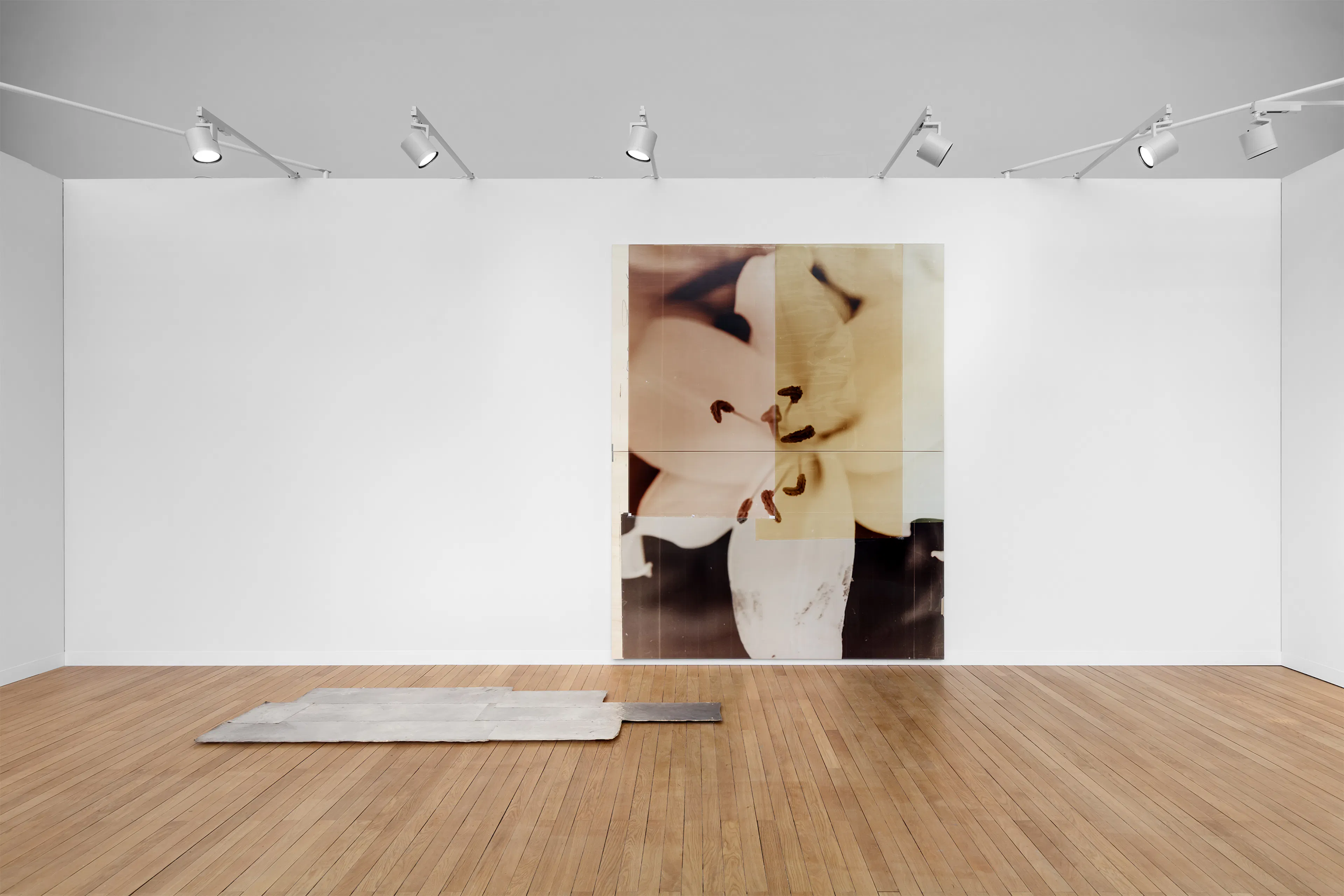 Nat Faulkner, Art Basel Paris 2026