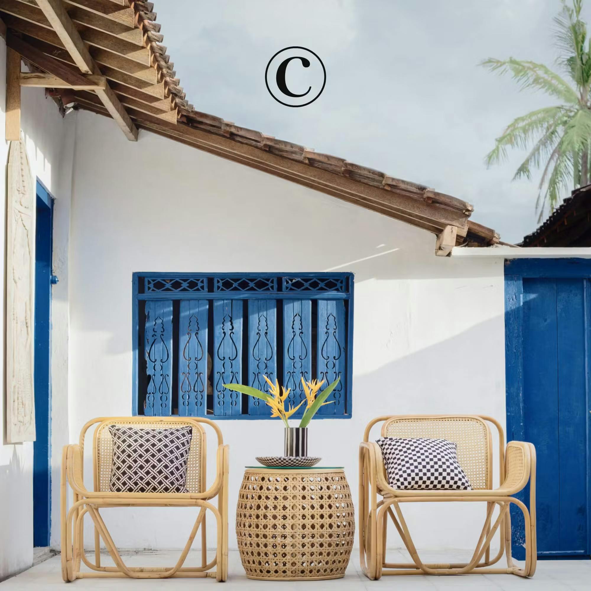 chairs and a plant outside a house